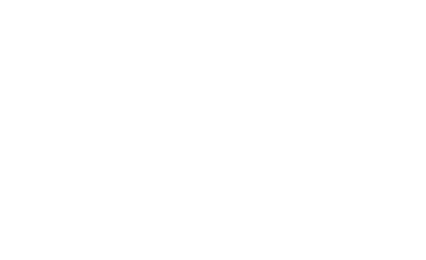 Solution